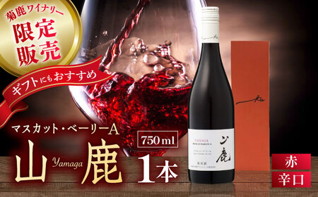  マスカット・ベーリーA山鹿赤ワイン辛口750ml ギフト箱入り菊鹿ワインZFB001