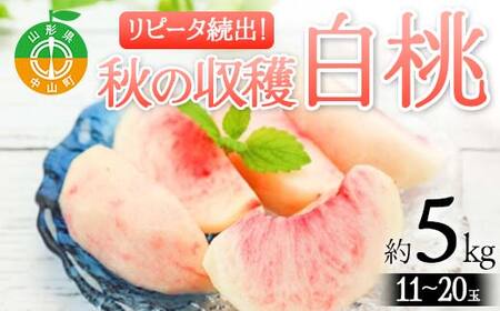 《2026年先行予約》山形県産 リピータ続出！秋の収穫 白桃 約5kg（11～20玉） 桃 もも フルーツ 果物 くだもの 山形県 中山町 F4A-0428