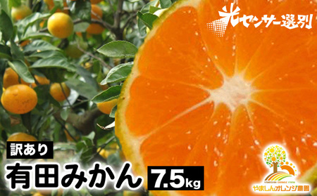 【訳あり】有田みかん 7.5kg | 農家直送 訳あり ご家庭用 サイズ混合 光センサー選別 温州みかん みかん 訳あり わけあり 家庭用