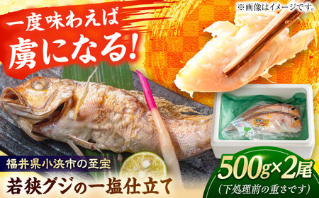 若狭グジの一塩仕立て 500g×2尾 小浜市 / まるほ商店 【配送不可地域：北海道・沖縄・離島】  [BFCS002] 