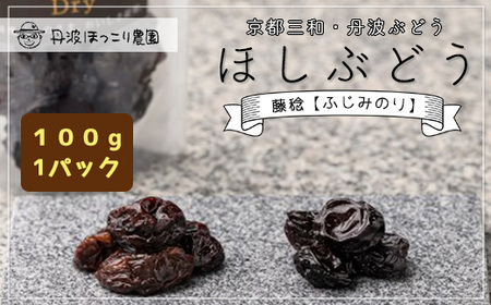 京都三和・丹波ぶどうほしぶどう 藤稔 ドライ(100g×1パック) ふるさと納税 福知山市 ドライフルーツ ほしぶどう 干しブドウ レーズン ドライレーズン 三和ぶどう ふじみのり 藤稔 100g 手作り 三和町 特産 丹波 【fc-CO003】【株式会社横田石材(丹波ほっこり農園)】