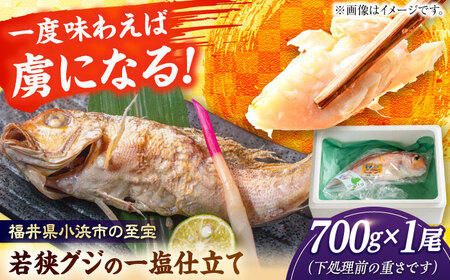 若狭グジの一塩仕立て 700g×1尾  小浜市 / まるほ商店【配送不可地域：北海道・沖縄・離島】  [BFCS003] 