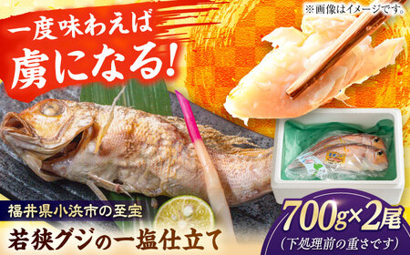 若狭グジの一塩仕立て 700g×2尾 小浜市 / まるほ商店【配送不可地域：北海道・沖縄・離島】  [BFCS004] 