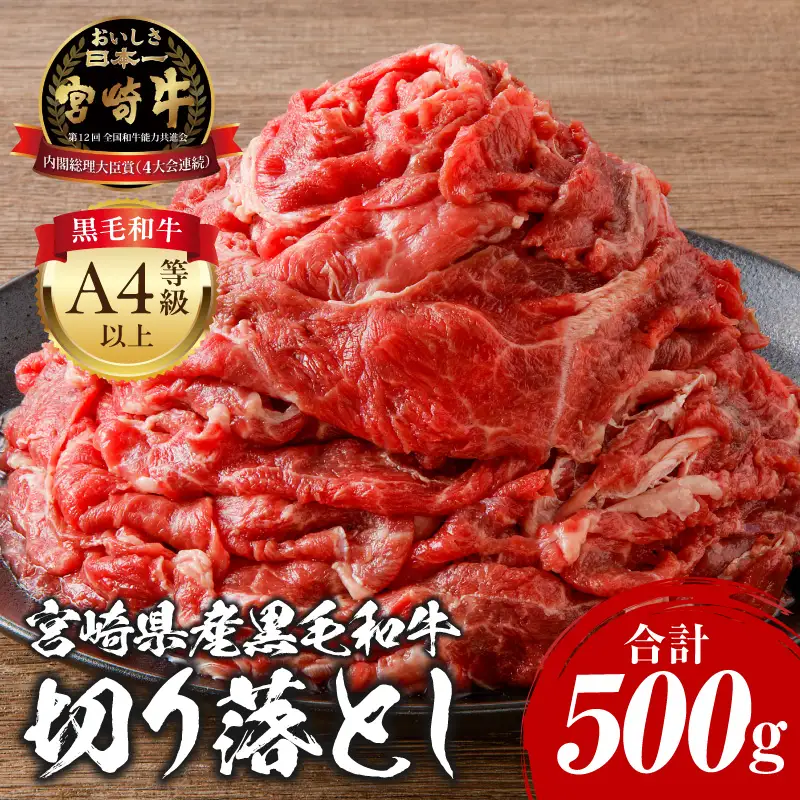 牛肉 切り落とし 牛肉[宮崎牛 500g]