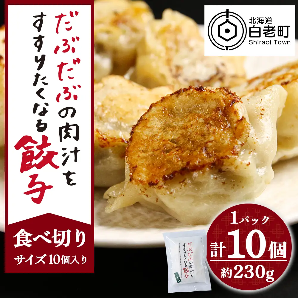 だぶだぶの肉汁をすすりたくなる餃子 10個（10個入×1パック） BE011