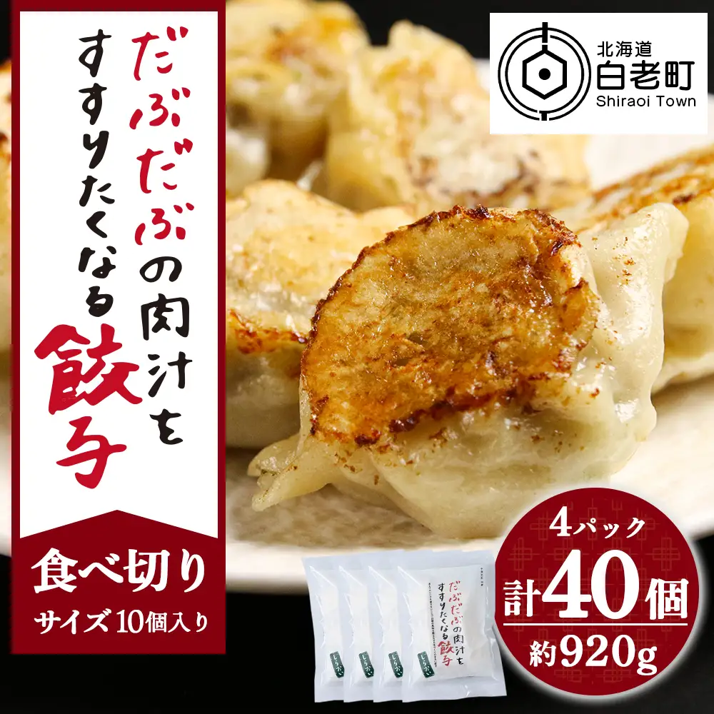 だぶだぶの肉汁をすすりたくなる餃子 40個（10個入×4パック） BE014