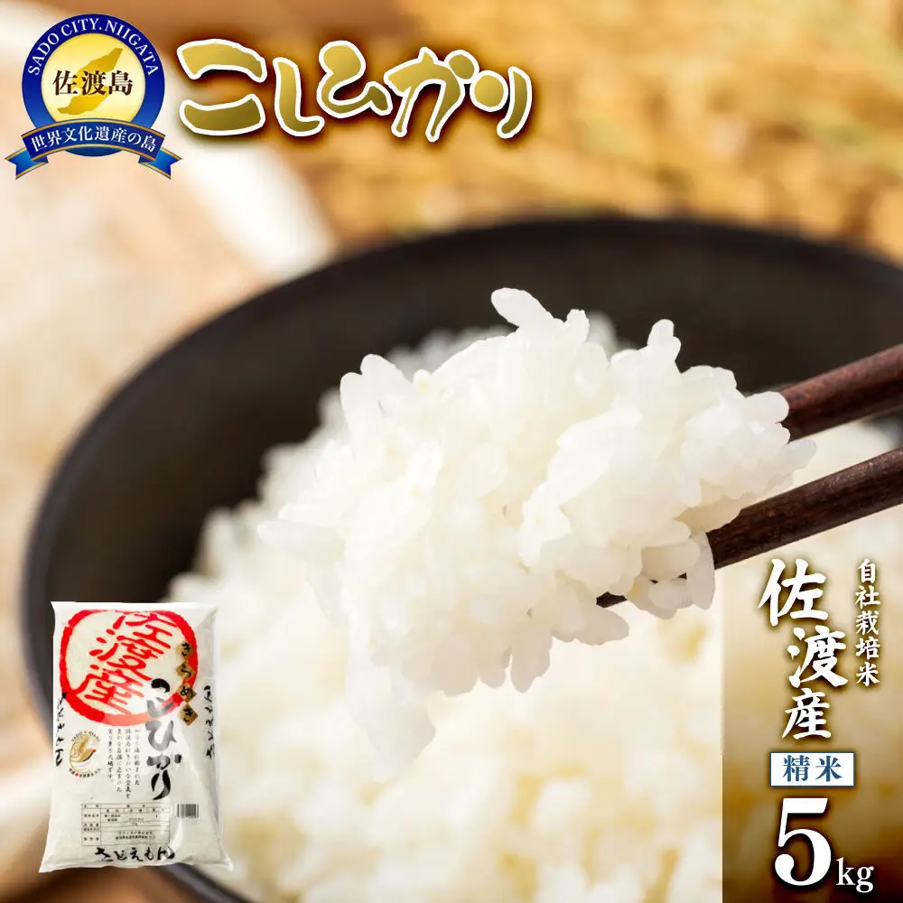 【令和7年米】自社栽培米佐渡産こしひかり（精米5kg）