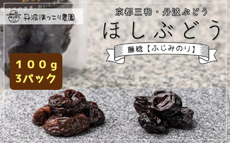京都三和・丹波ぶどうほしぶどう 藤稔 ドライ(100g×3パック) ふるさと納税 福知山市 ドライフルーツ ほしぶどう 干しブドウ レーズン ドライレーズン 三和ぶどう ふじみのり 藤稔 100g 3パック 手作り 三和町 特産 丹波 【fc-CO004】【株式会社横田石材(丹波ほっこり農園)】