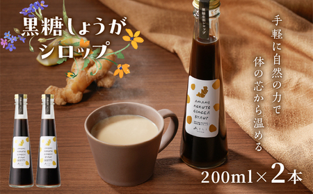 黒糖 しょうが シロップ A175-001-02 生姜 ショウガ 健康 冷え性 血行促進 手作り シロップ 生姜シロップ あまみこand ふるさと納税 奄美市 おすすめ ランキング プレゼント ギフト