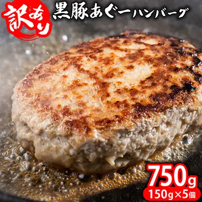 ハンバーグ【訳あり】あぐー豚肉ハンバーグ 750g