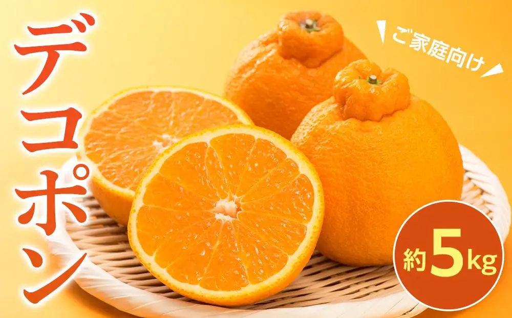 【2027年3月中旬より発送】ご家庭向け！濃厚甘味の「デコポン」約5kg |デコポン 柑橘 