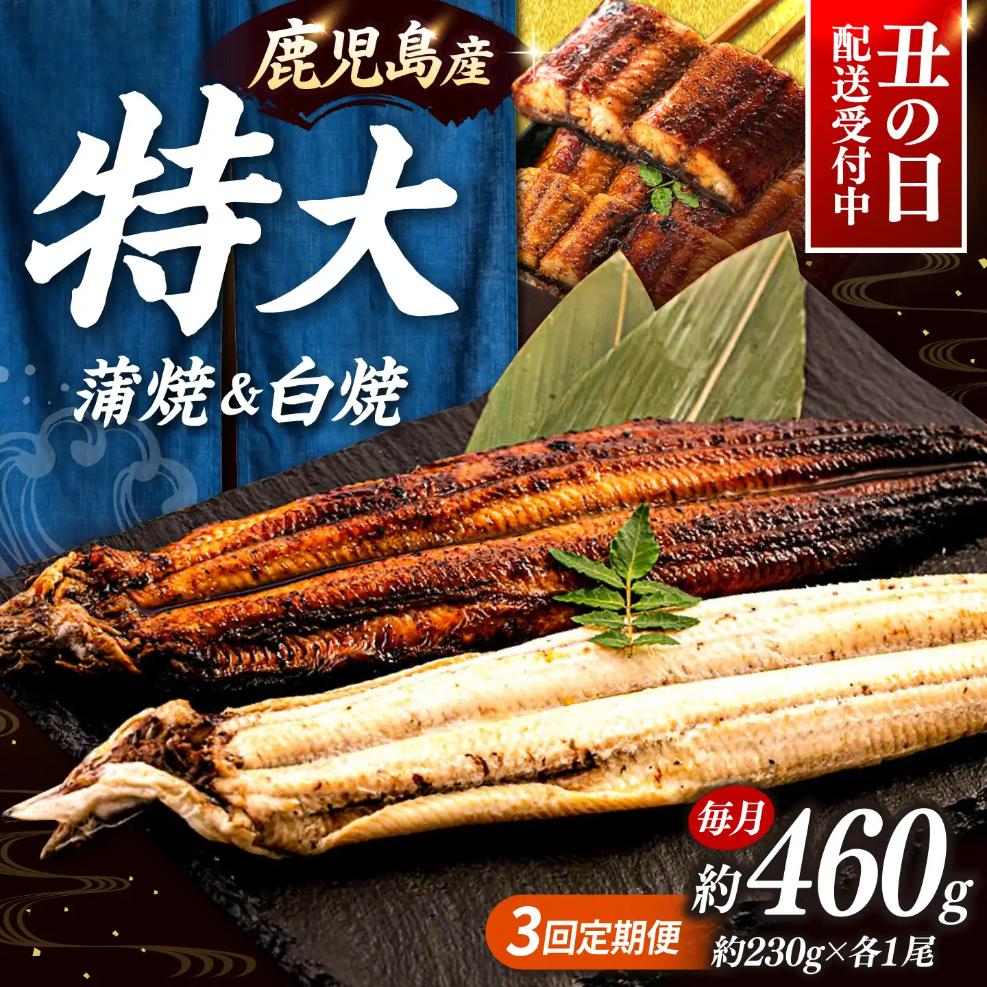 全3回定期便 鹿児島産うなぎ2尾 蒲焼・白焼セット 桂川町/山水商事 [ADAH018] 鰻 鰻蒲焼き 白焼 鰻白焼 鰻セット 特大鰻 定期便
