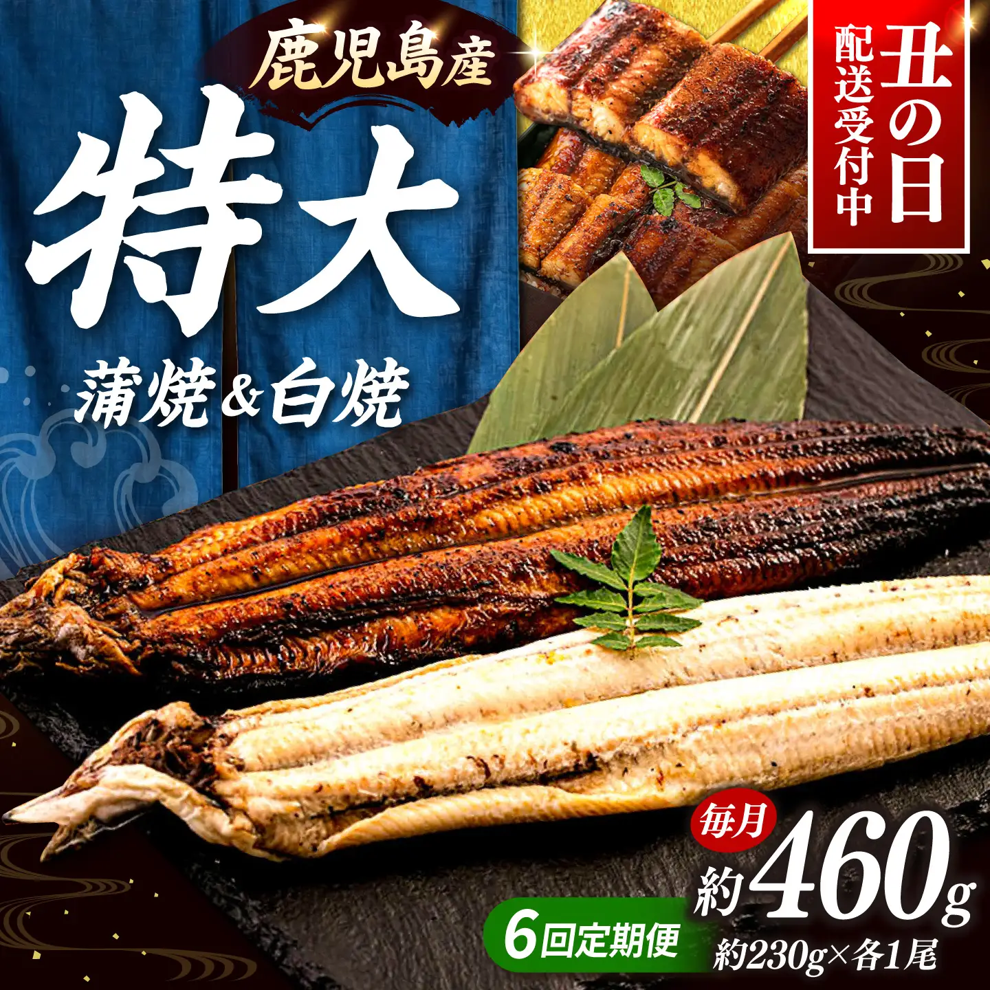 全6回定期便 鹿児島産うなぎ2尾 蒲焼・白焼セット 桂川町/山水商事 [ADAH019] うなぎ 蒲焼き 白焼き セット 九州