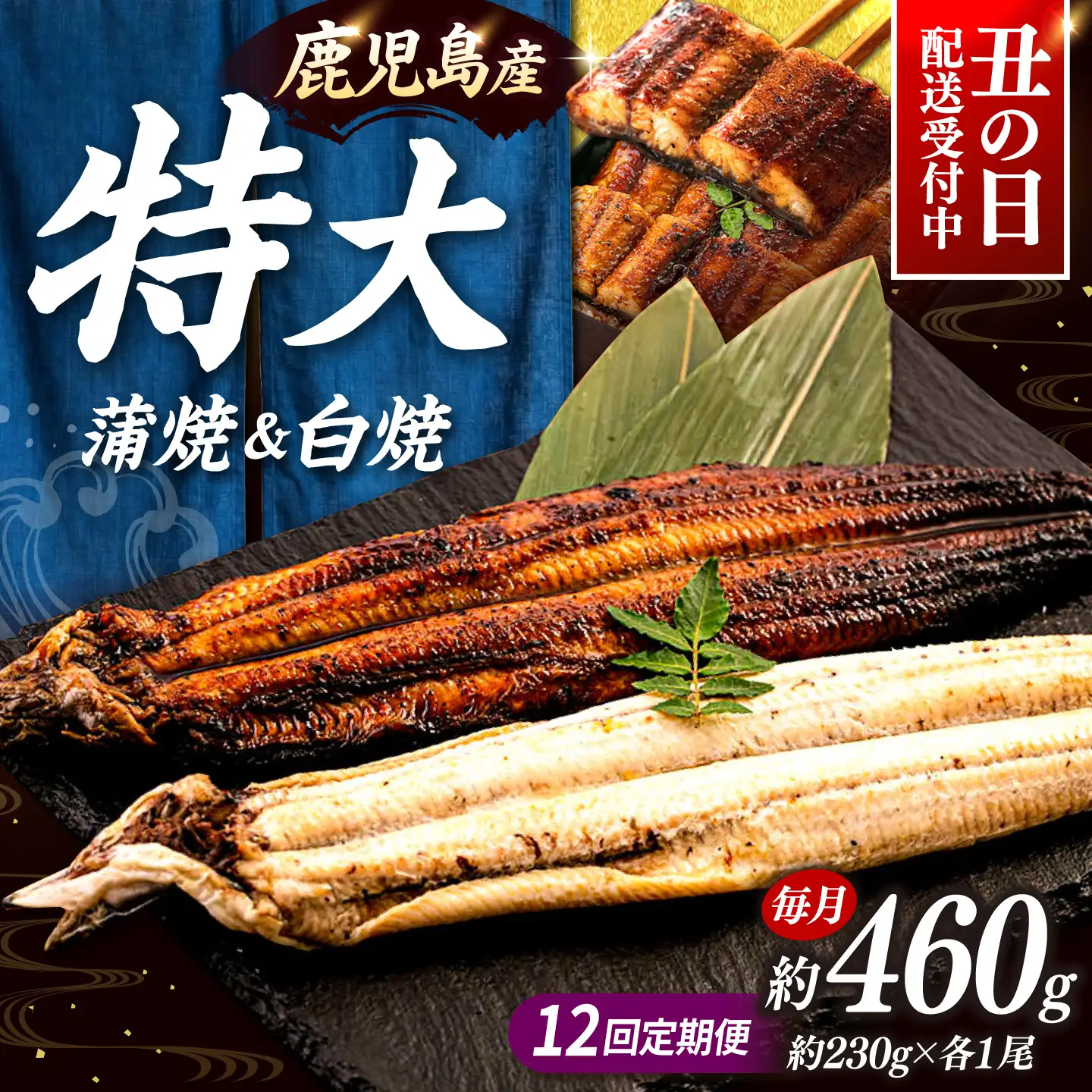 全12回定期便 鹿児島産うなぎ2尾 蒲焼・白焼セット 桂川町/山水商事 [ADAH020] うなぎ 蒲焼き 白焼き セット 九州