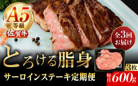 【3回定期便】A5等級 佐賀牛 サーロインステーキ 600g /ナチュラルフーズ [UBH106] ステーキ