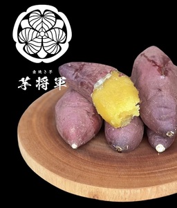 D284 冷凍壺焼き芋5本入りセット