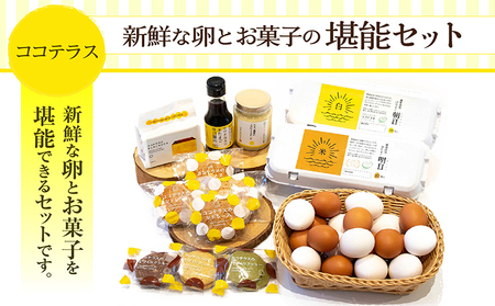 ココテラスの新鮮な卵とお菓子の堪能セット カステラ マドレーヌ クッキー マヨネーズ 醤油 たまご専用醤油 調味料 料理 赤卵 白卵 タマゴ 卵 鶏卵 焼き菓子 洋菓子 グルメ スイーツ お取り寄せ 詰め合わせ ギフト 贈り物 プレゼント 愛知県 常滑市