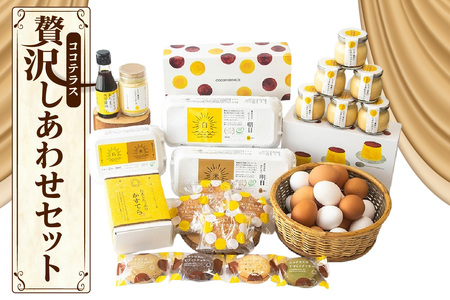 ココテラスの贅沢しあわせセット | カステラ マドレーヌ クッキー プリン マヨネーズ 醤油 たまご専用醤油 調味料 料理 赤卵 白卵 タマゴ 卵 鶏卵 焼き菓子 洋菓子 グルメ スイーツ お取り寄せ 詰め合わせ ギフト 贈り物 プレゼント 愛知県 常滑市