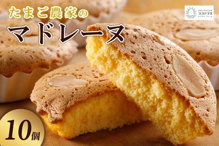 たまご農家 マドレーヌ（10個）ふるさと納税 ふんわり食感 マドレーヌ ココテラス 洋菓子 デイリーファーム デザート スイーツ 人気 たまごとバター こだわりスイーツ ティータイム アフターヌーンティー ギフト 人気 焼き菓子 手土産