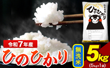 令和7年産   ひのひかり 無洗米 5kg   米 ブランド米 大容量《7-14日以内に出荷予定(土日祝除く)》