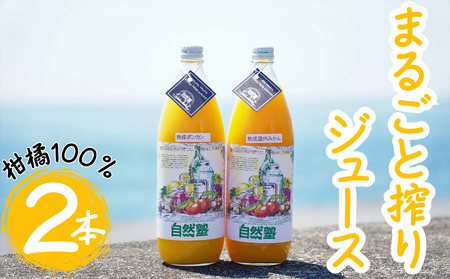 ⑬自然塾　柑橘100%まるごと絞りジュース　２本入り　みかんジュース オレンジ ポンカン 不知火 温州 ドリンク 飲料 飲み物 朝食 無添加 季節 旬【szjk0007】