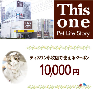 ディスワン小牧店で使えるクーポン券(10,000 円)[122P03]