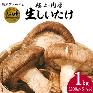 しいたけ・椎茸『駒来ファームの 極上・肉厚 生しいたけ』 極上しいたけ 肉厚しいたけ 生しいたけ 生シイタケ 生椎茸 安心椎茸 安全椎茸 国産しいたけ（椎茸） 採れたて 新鮮しいたけ（椎茸） きのこ 野菜 [131L01]