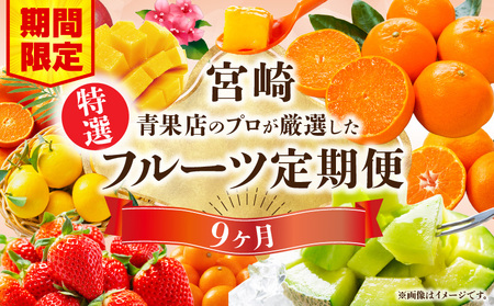 【数量・期間限定】特選！旬のフルーツ9ヶ月定期便vol.1 旬 フルーツ 果物 定期便 くだもの いちご マンゴー 金柑