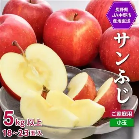 【先行受付】JA中野市 「サンふじ」ご家庭用 訳あり「小玉」 5kg以上(18～23玉入)【1526204】