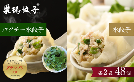餃子 水餃子 巣鴨餃子 水餃子とパクチー水餃子の組み合わせ 各2袋 48個 清緑園 ぎょうざ ギョウザ セット もちもち パクチー 冷凍餃子 国産素材 お取り寄せ ギフト 冷凍 中華料理 おつまみ おかず 総菜 
