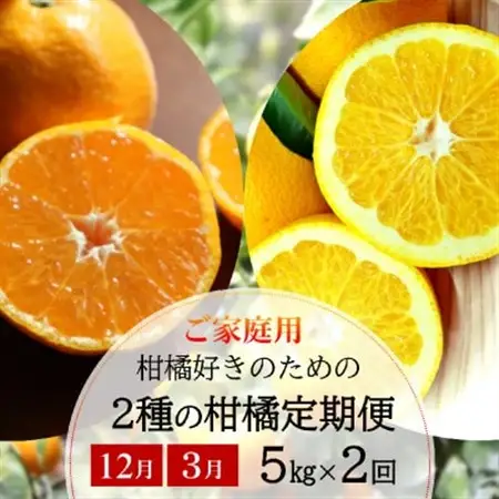 【発送月固定定期便】農家直送!ご家庭用　2種の柑橘定期便(みかん・八朔)各5kg【訳あり】全2回【配送不可地域：離島・北海道・沖縄県】【4053556】