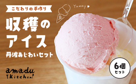 収穫のアイス 丹波あじわい6個セット(丹波栗・丹波黒豆・季節のフレーバー×各2カップ) ふるさと納税 福知山市 スイーツ アイス アイスクリーム こだわり 手作り 6個 セット 季節 丹波 栗フルーツ 野菜 ヒラヤミルク 自家製 無着色 【fc-CP001】【あまづキッチン】