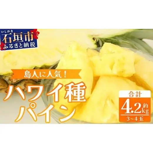 【先行予約】石垣島産 ハワイ種パイン 3～4玉セット 約4.2㎏　TD-7