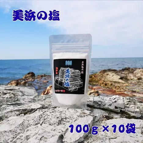 美浜の塩 1kg 100g×10袋 ｜天然塩 塩 食塩 ミネラル しお 天然 調味料 ソルト 海水塩 料理 味付 国産 おにぎり　愛知県 美浜町 食と健康の館 ※北海道・沖縄・離島への配送不可