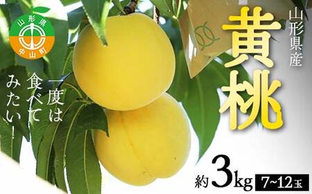 《2026年先行予約》山形県産 一度は食べてみたい！黄桃（有袋・無袋） 約3kg（7～12玉） 桃 もも フルーツ 果物 くだもの 山形県 中山町 F4A-0432