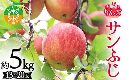  2026年度先行予約 山形県産 太陽燦々★サンふじりんご 約5kg（13～20玉） りんご 林檎 フルーツ 果物 くだもの 山形県 中山町 F4A-0438