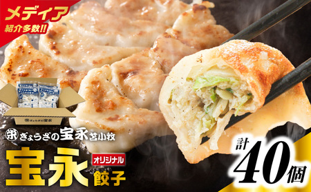ぎょうざ の宝永 宝永 餃子 10個 入 セット（ 宝永餃子 10個入 × 4袋 ）合計1.0kg T004-003 惣菜 総菜 加工食品