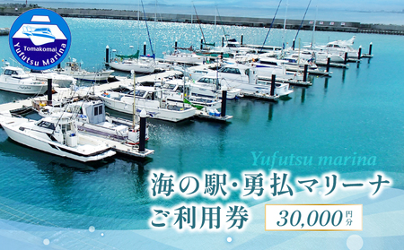 海の駅 ・ 勇払マリーナ ご利用券 T062-FT01 体験 チケット