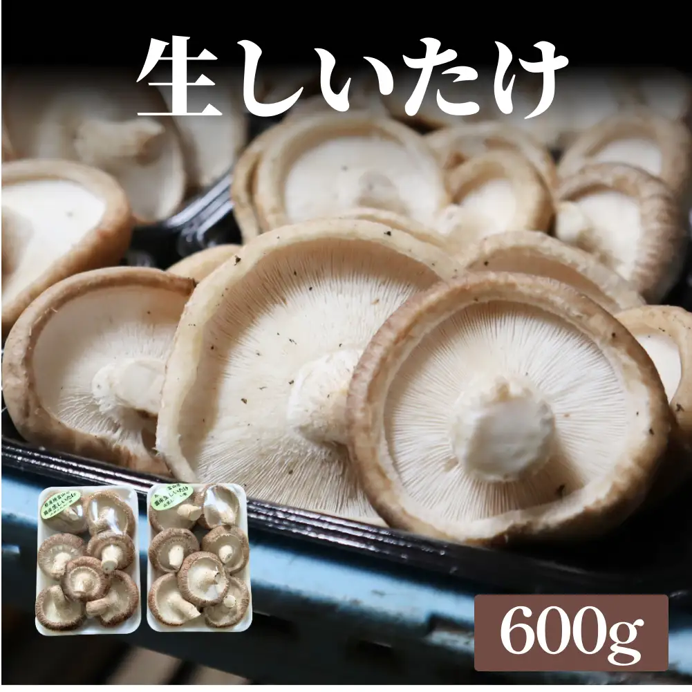 生しいたけ 約600g