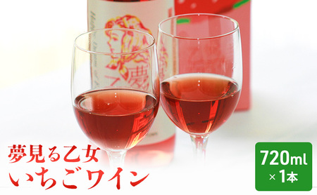 【亘理町いちご産】夢見る乙女1本