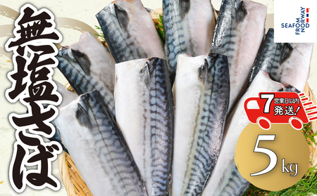 【 スピード配送 】 無塩さば 約5kg さば