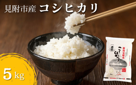 〈4～7営業日で発送〉令和7年産 新潟見附市産コシヒカリ5kg