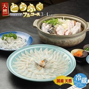 ふぐ料理専門店 『栄ふく』 国産 天然 とらふぐフルコース（3～4人前）青磁皿30cm付