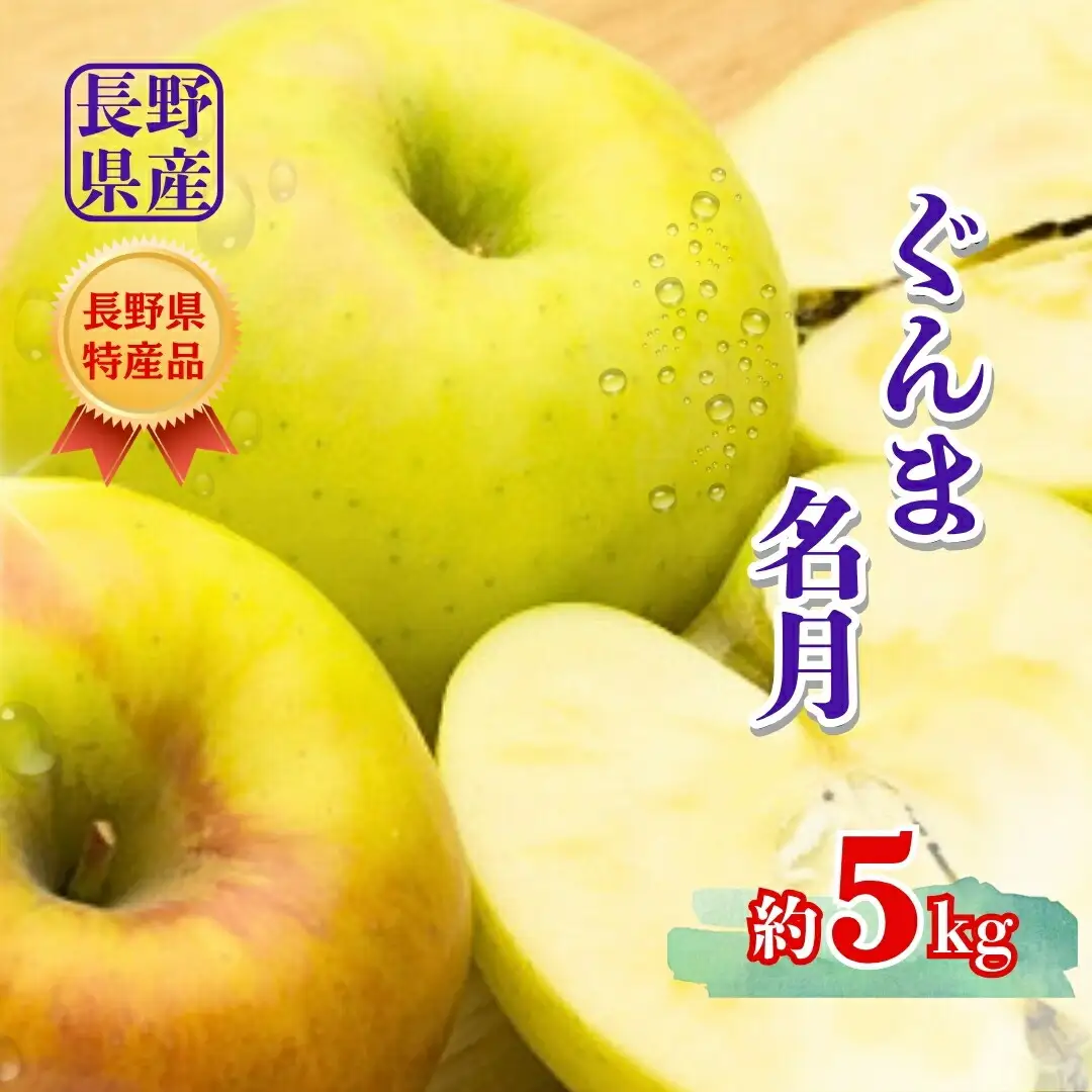 【2026年先行予約】ぐんま名月 約5kg |りんご