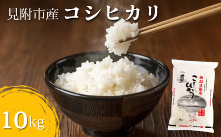 〈4～7営業日で発送〉令和7年産 新潟見附市産コシヒカリ10kg（5kg×2）　田中米穀
