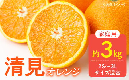 DZ6226_【2027年先行予約】家庭用 訳あり きよみ 清見オレンジ 和歌山 有田 2S～3Lサイズ混合 約3kg