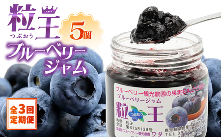 2468-1  【 全3回 定期便 】（ 2ヶ月に1回お届け ）粒王 ブルーベリー ジャム 200g × 5個 KN030-T02 果物 加工食品