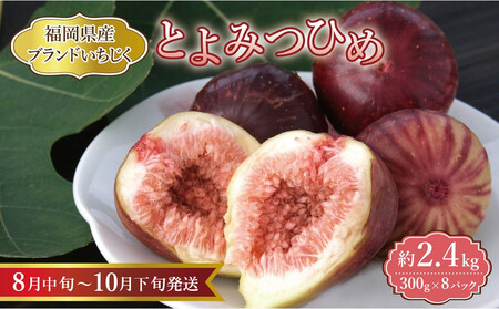 【福岡限定ブランド】いちじく とよみつひめ 約2.4kg （ 300g×8パック ）| いちじく 福岡県産 果物 フルーツ とよみつひめ 福岡県 大川市