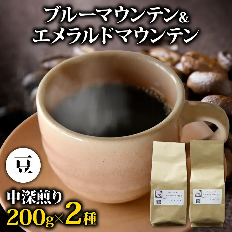 コーヒー豆 【計400g】 2種  コーヒー豆