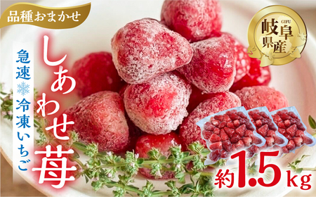 2026年5月より発送】 《 訳あり 》 冷凍いちご 品種おまかせ 1.5kg